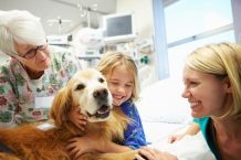 Therapy Dog Certification and Training: Unleashing the Power of Healing
